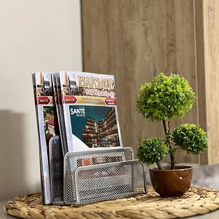 Apartment Vega