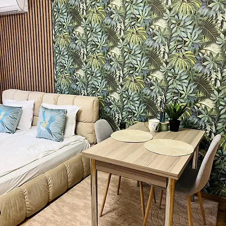 Vega Apartment